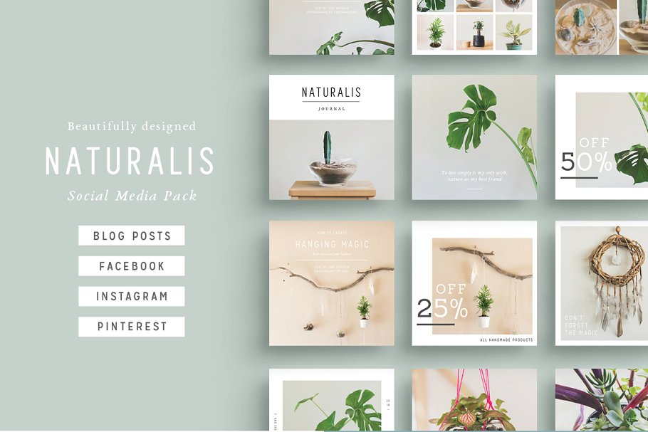 大自然植物之美社交媒体贴图素材包 NATURALIS  Social Media BUNDLE插图(10)