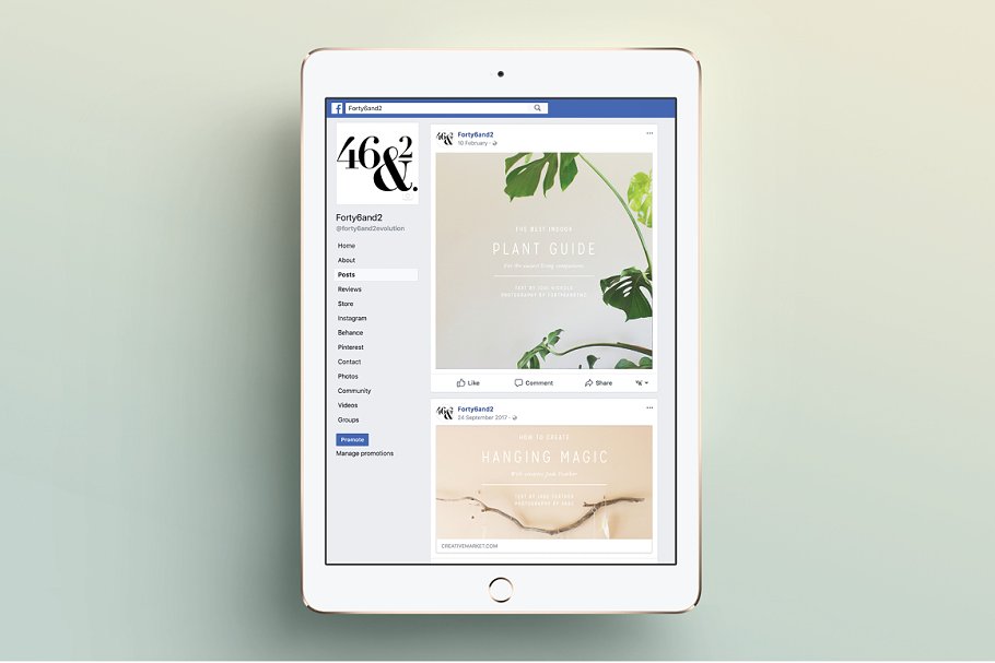 简约现代风格 Facebook 贴图模板素材库精选 NATURALIS Facebook Pack插图(7)