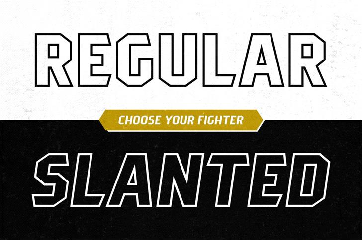 Pittsbrook Sans font插图1