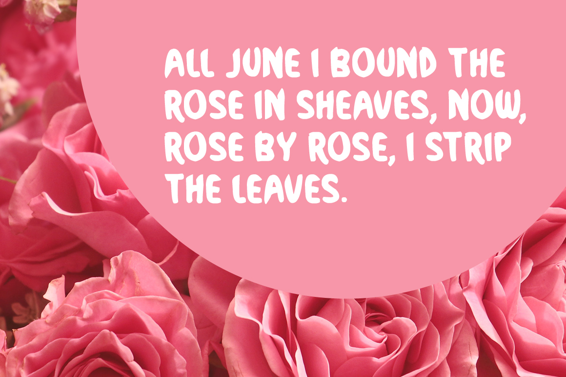 Rockrose Regular Font插图1