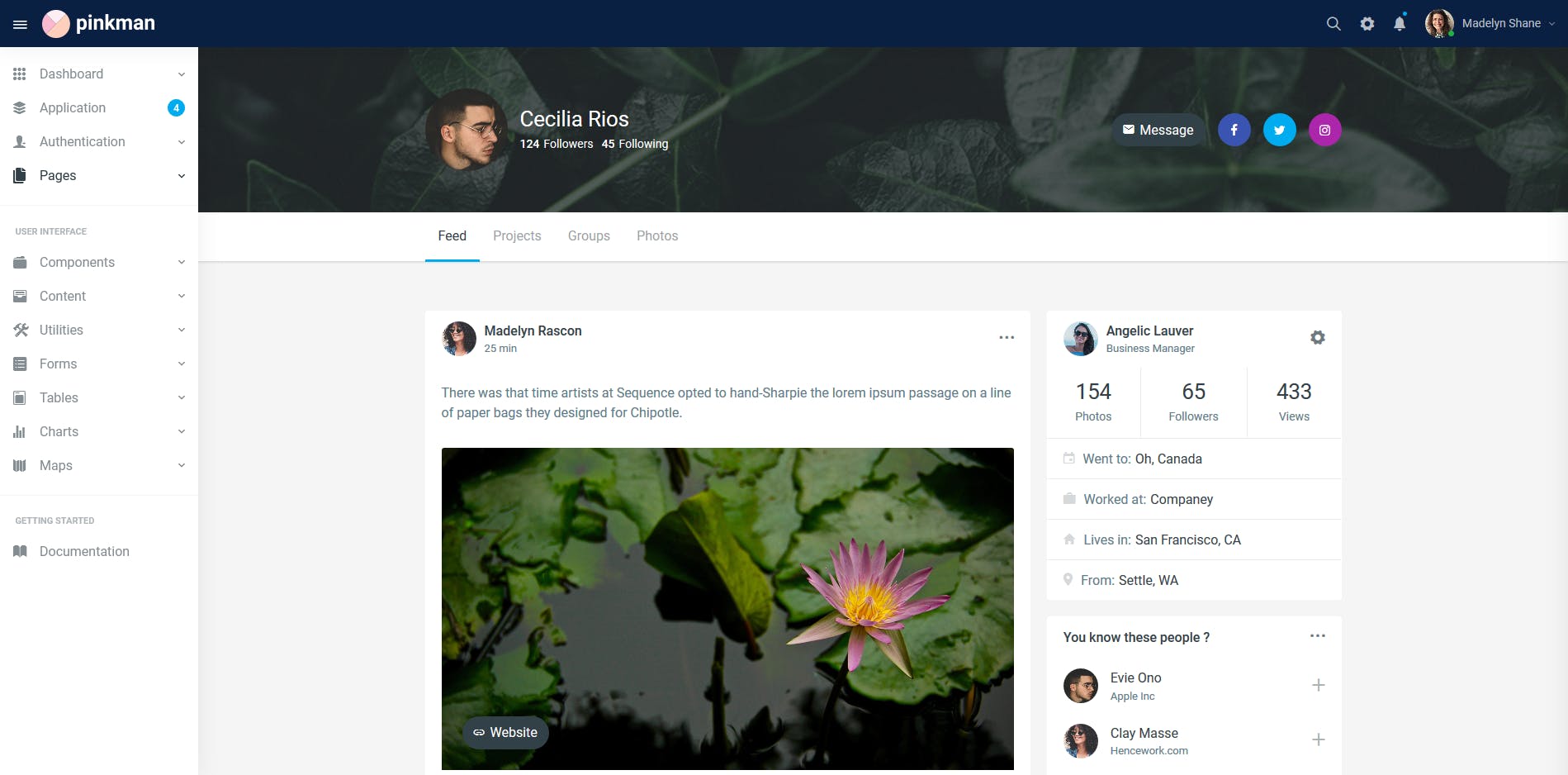 Bootstrap架构网站管理系统模板素材库精选下载 Pinkman – Bootstrap 4 Admin Dashboard Template插图(4)