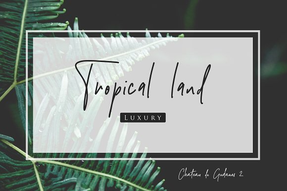 Chateau de Gudanes • 2 Elegant Fonts插图3