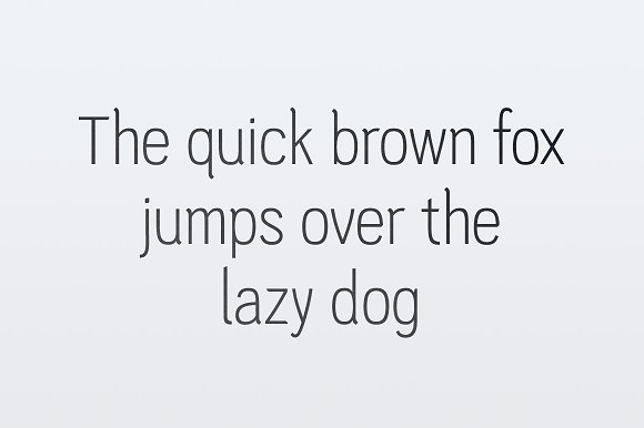 PC Navita – Light插图1