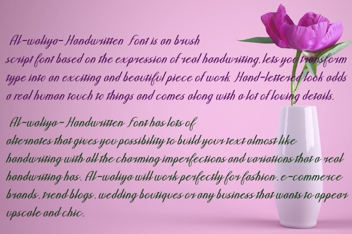 Al Waliya Font插图2