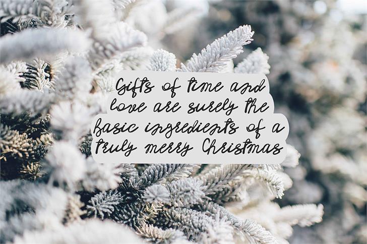 Mendy font插图2 Mendy font插图2