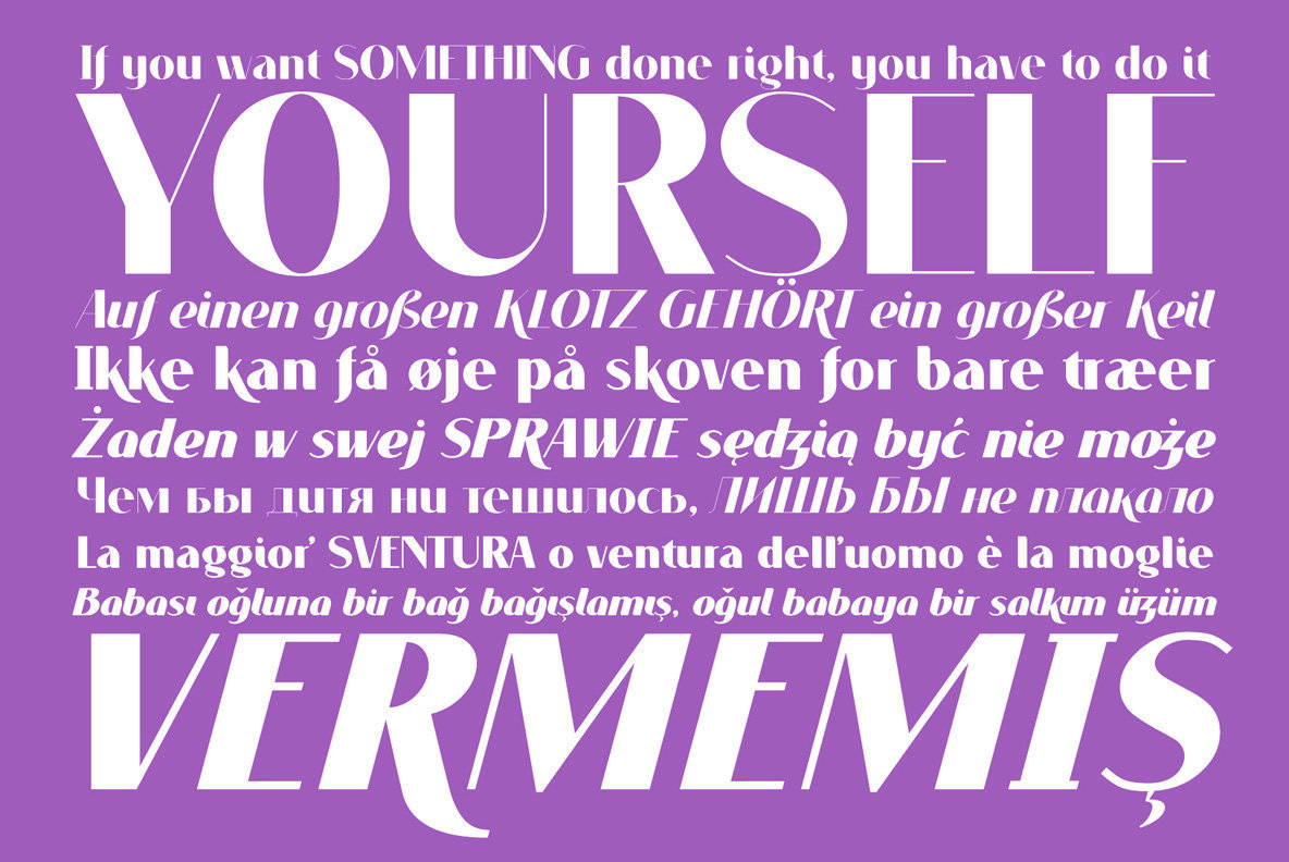 Voguer Sans Font Family插图1