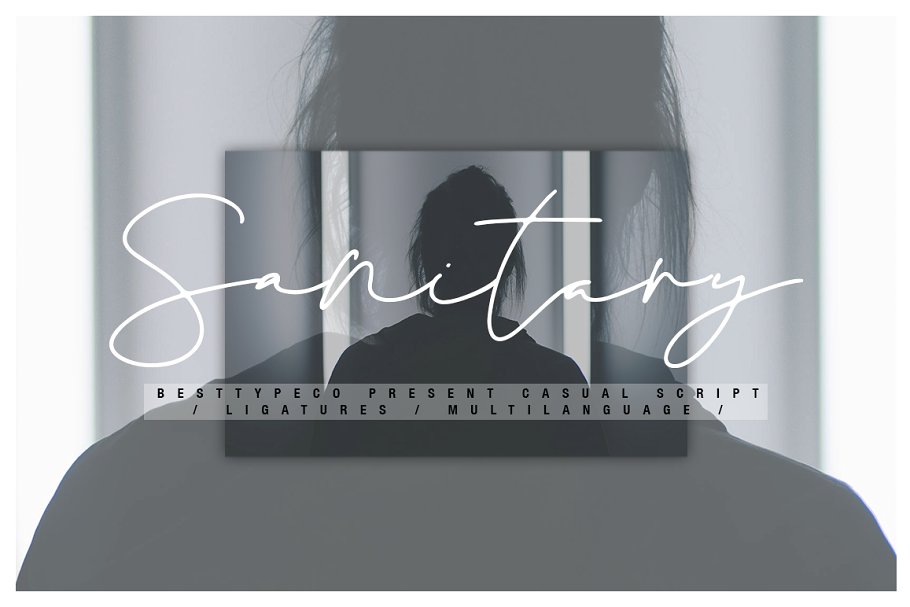 Sanitary Font插图
