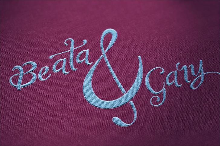 Tiptak font插图4 Tiptak font插图4