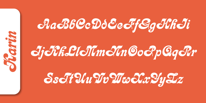 Karin Pro Font插图1