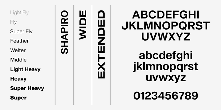 Shapiro Font Family插图4