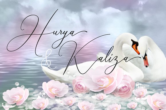 Creative Signature Font插图3