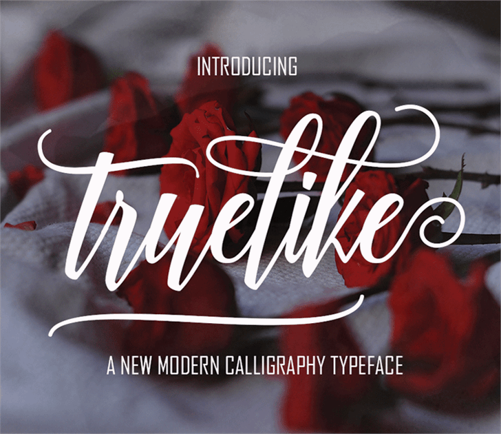 Truelike font插图 Truelike font插图