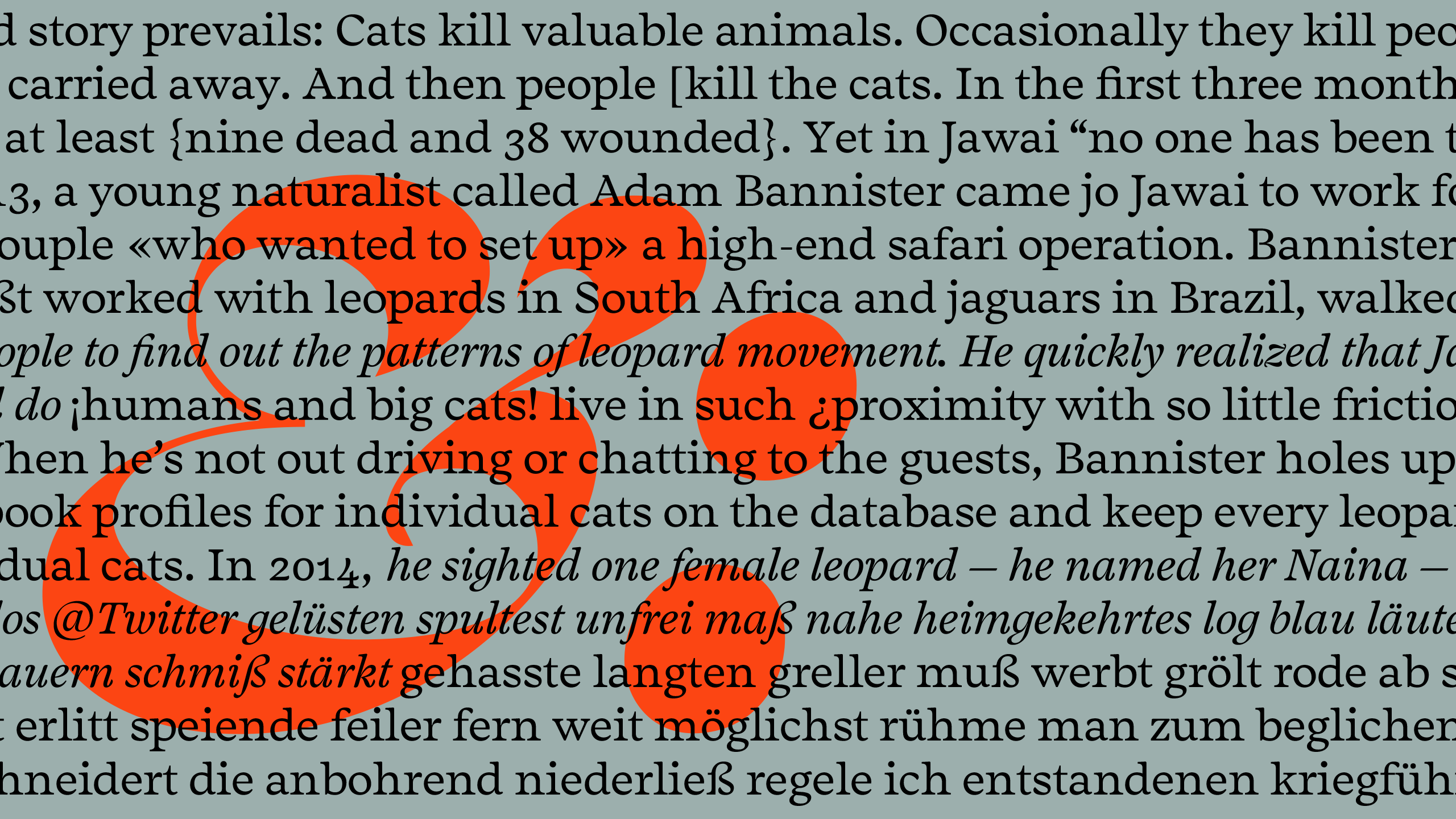 Salvaje Display Font Family插图1