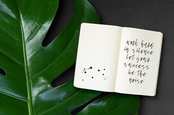 CM – Fallen Angel – Calligraphic Font插图5