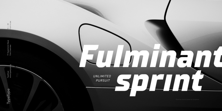 TT Supermolot Neue Font Family插图3