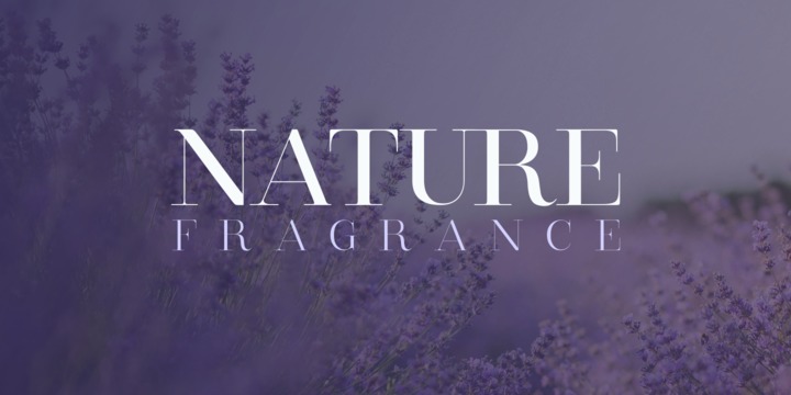 Clarize Font Family插图