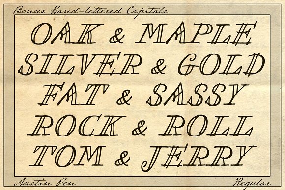 Austin Pen Regular插图4