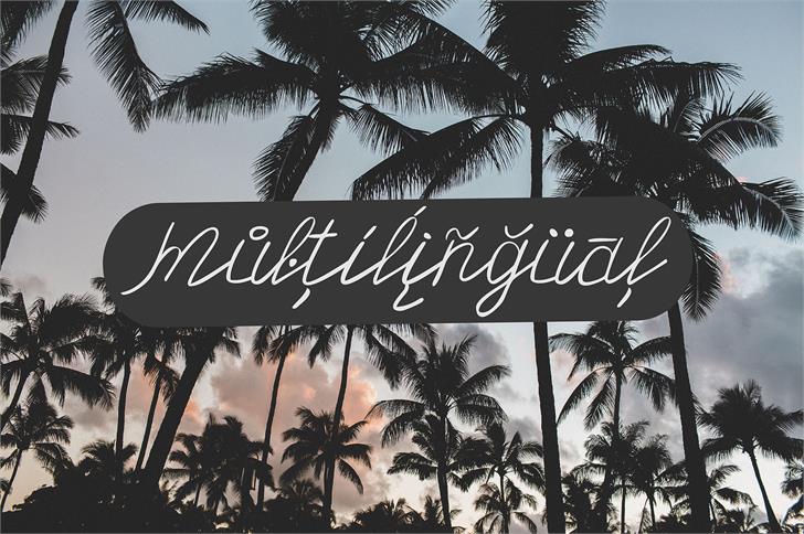 Olster font插图5 Olster font插图5