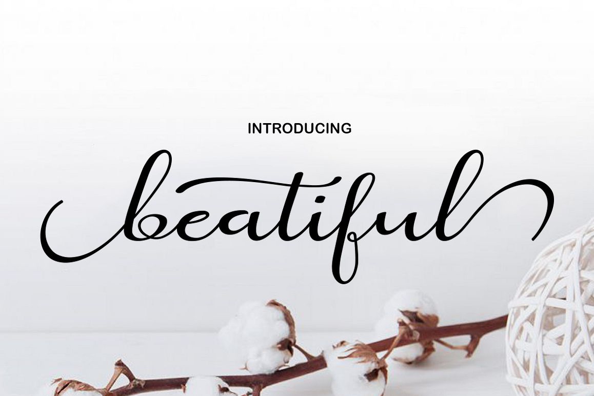 beatifulS cript Font插图