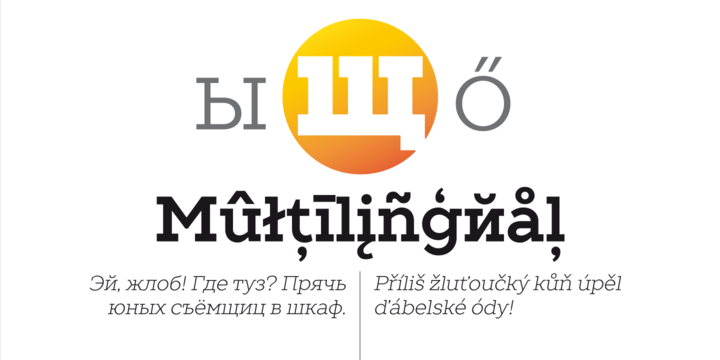 TT Slabs Font Family插图6