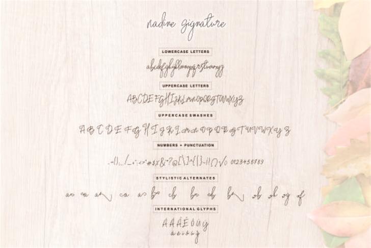 Nadine font插图5 Nadine font插图5