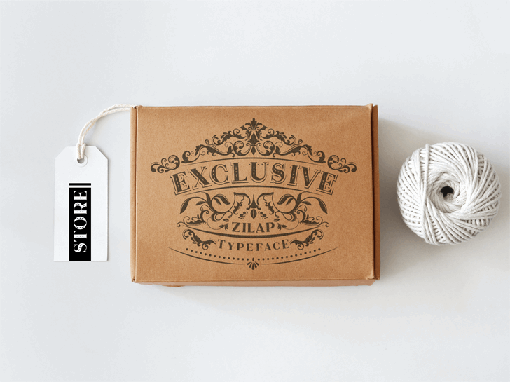 Zilap Exclusive Personal use font插图1 Zilap Exclusive Personal use font插图1