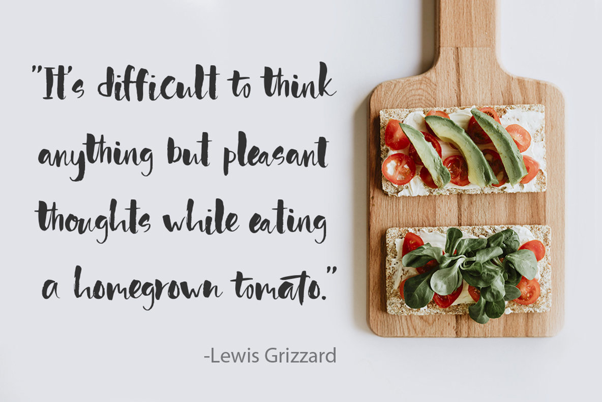 Red Tomato Font插图1