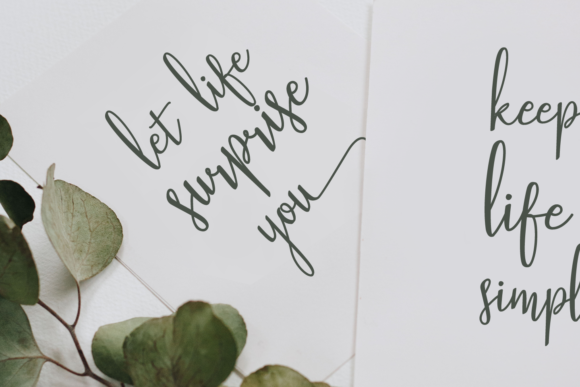 Stellaria Font插图1