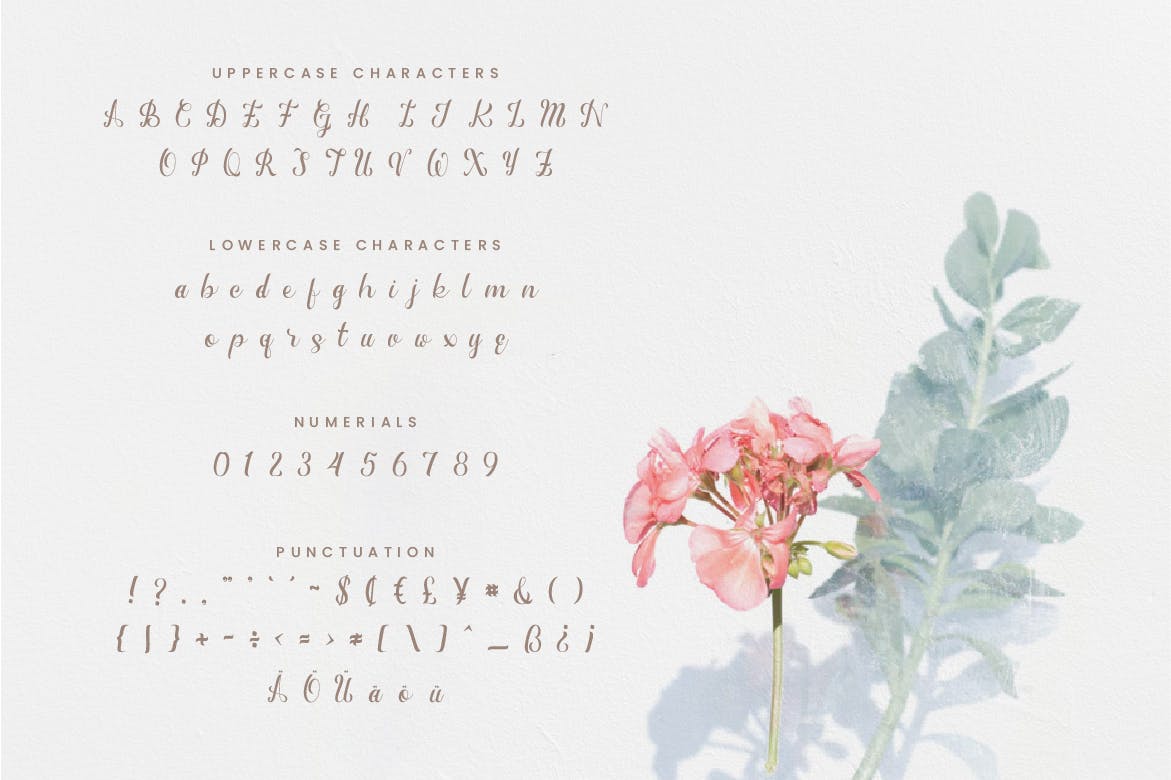 浪漫装饰设计风格英文书法艺术字体下载 First Date – Romantic Handwritten Script插图(1)