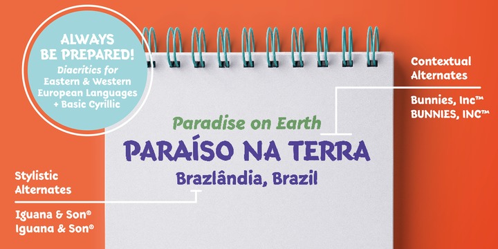 Terry Junior Font Family插图3