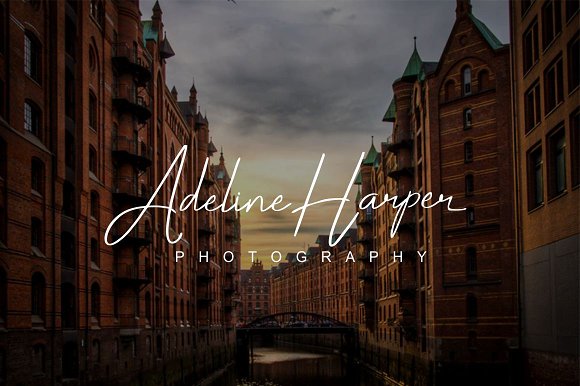 Darcey Oliver Signature Font插图4