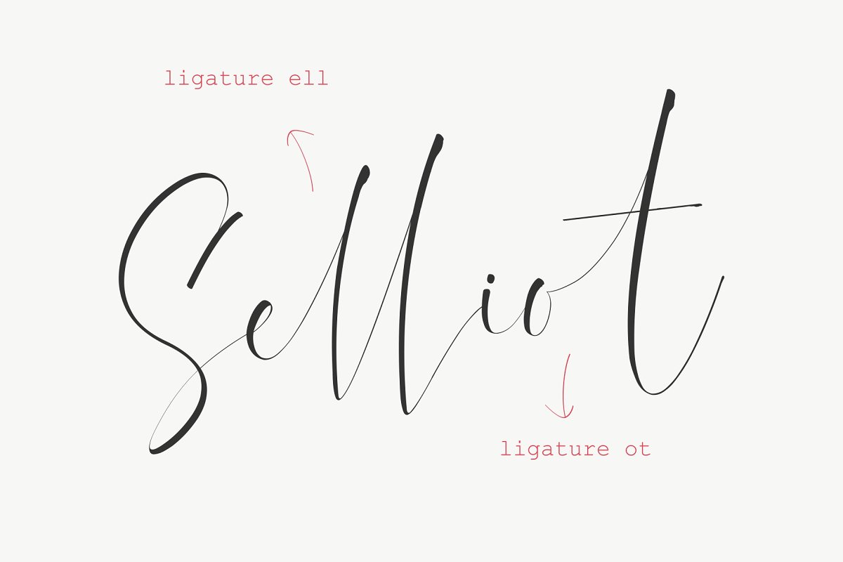 Dattebayo Signature Font插图2