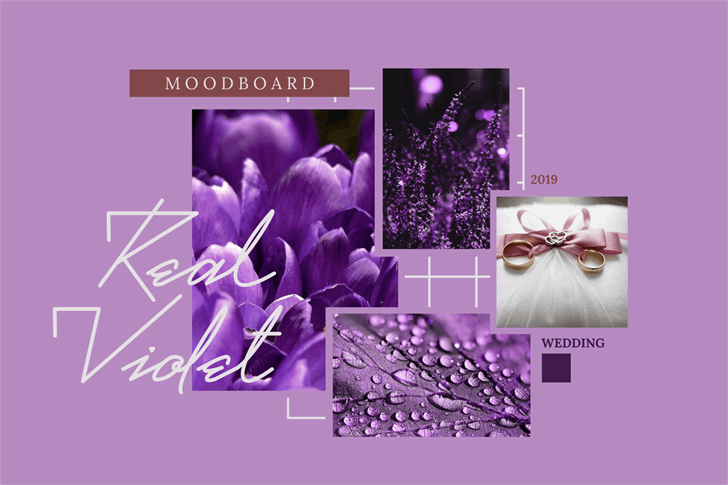 Real Violet Demo font插图1 Real Violet Demo font插图1