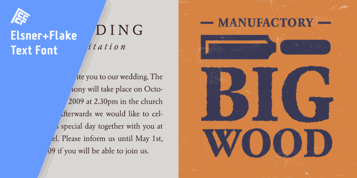 Garamond Rough Pro Family插图5