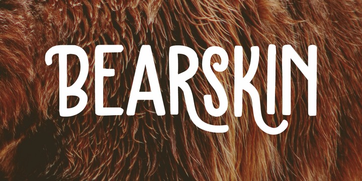 Bearskin Font Family插图