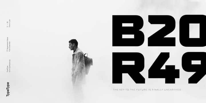 TT Supermolot Neue Font Family插图1