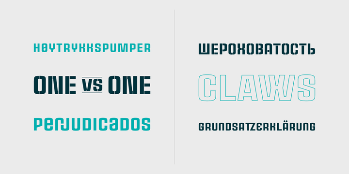 Rauda Font Family插图2