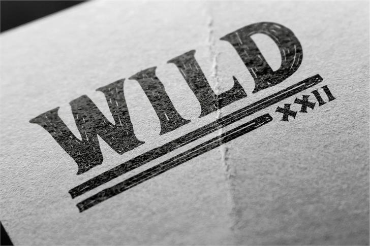 Adelard Demo font插图2 Adelard Demo font插图2