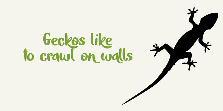 Tokeh Font Family插图