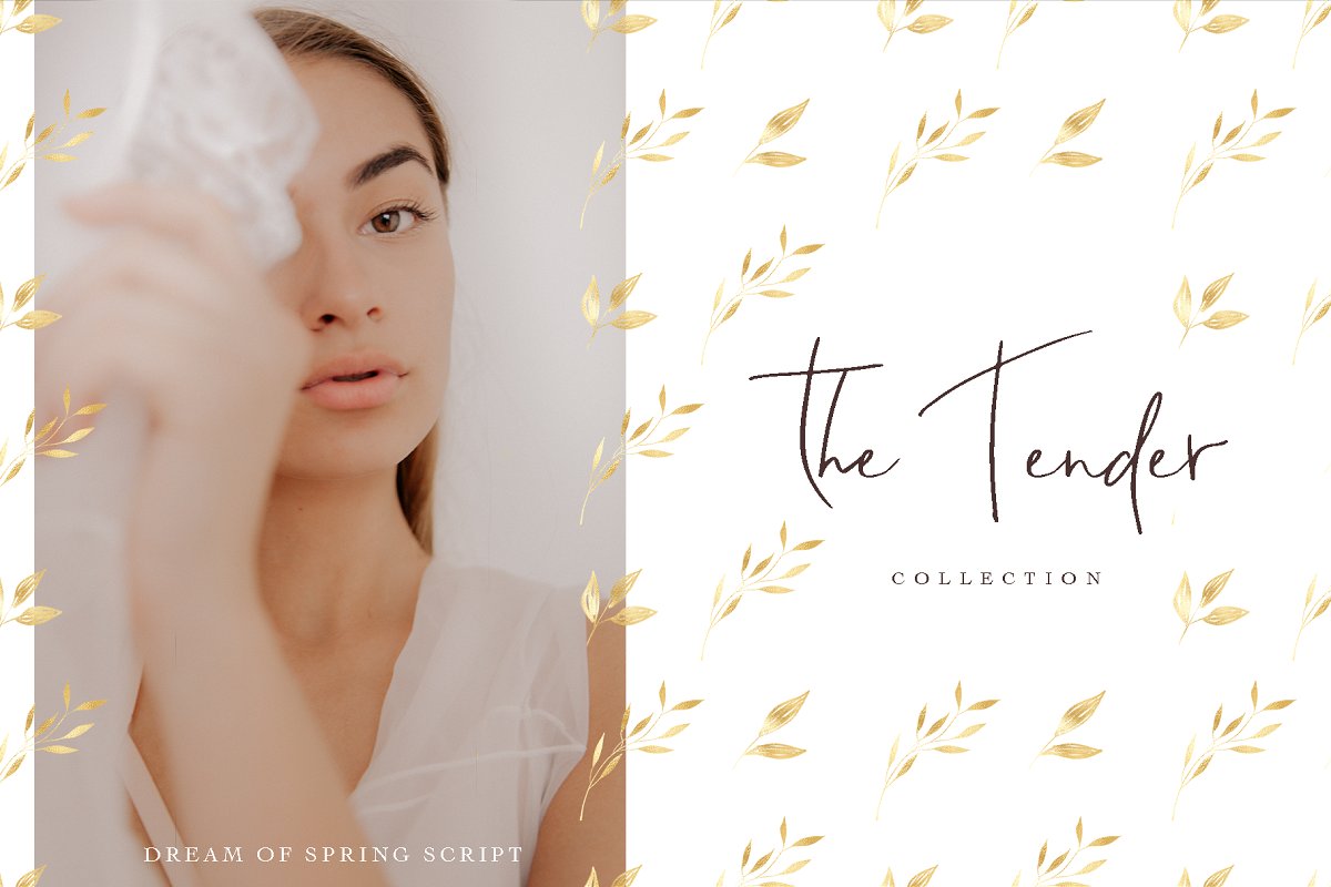 Dream of Spring Font插图1