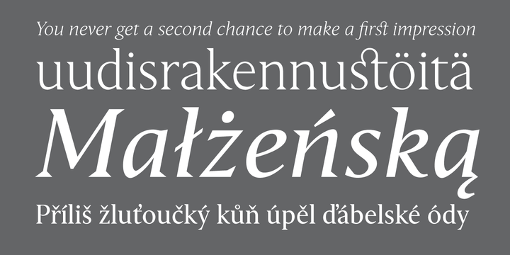 Haggard Nova Font Family插图6