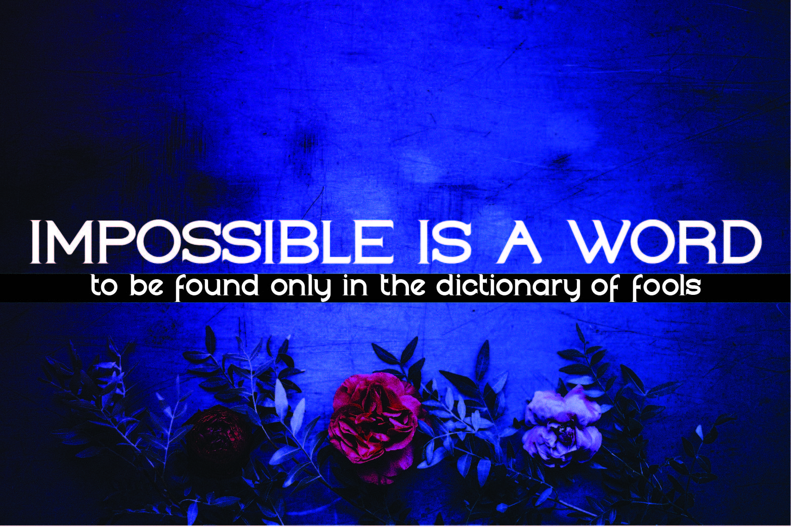 Bornparte Regular Font插图1