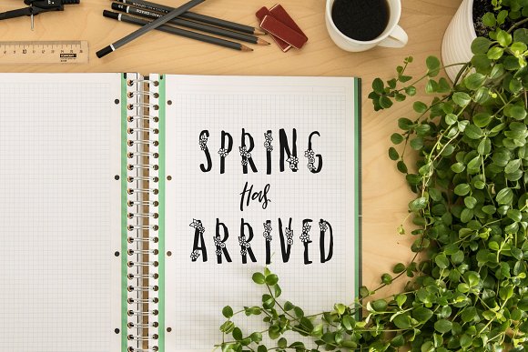 Melange A Flower Font for Spring插图1