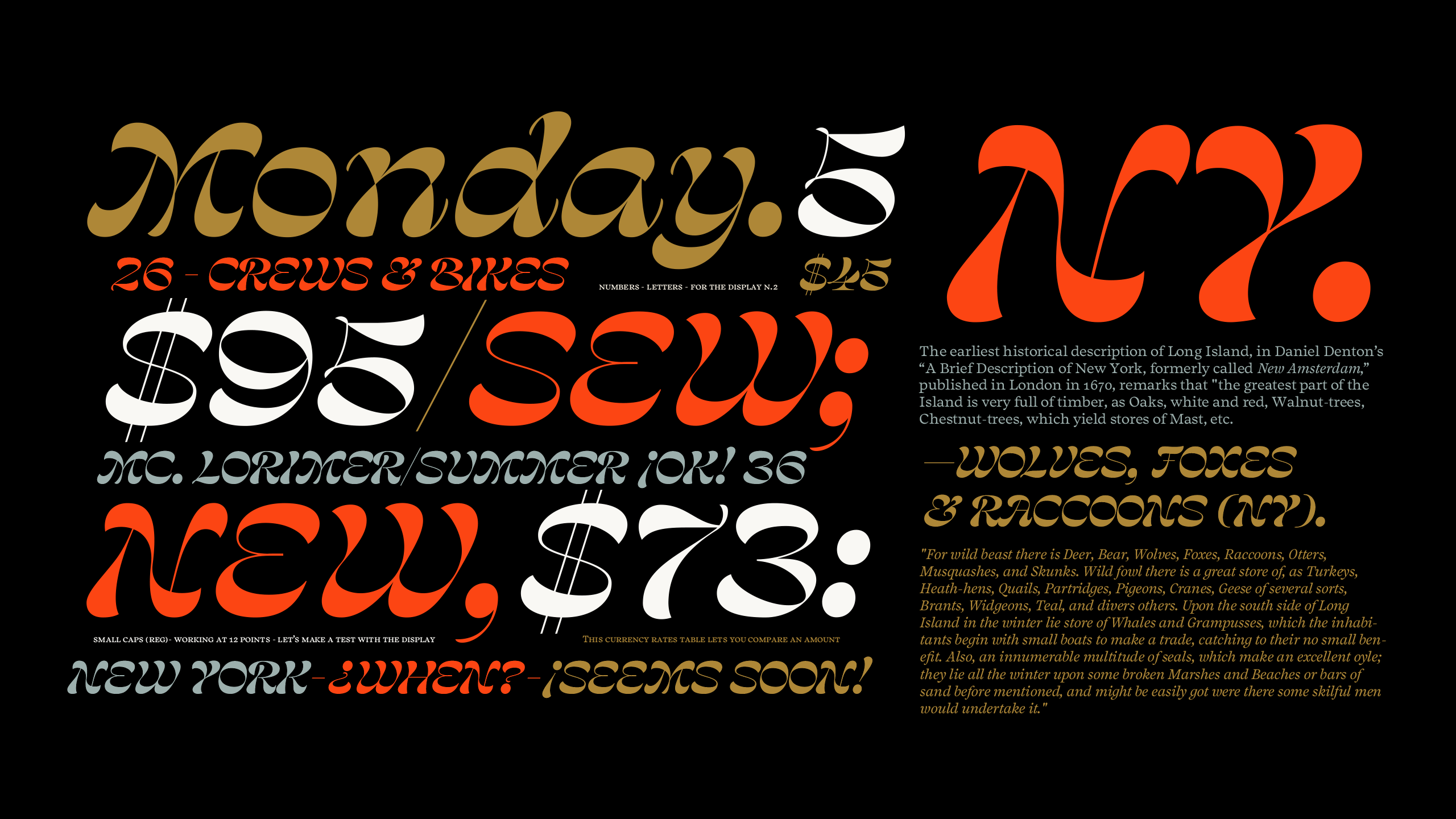 Salvaje Display Font Family插图5