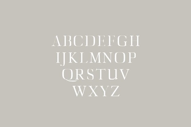 Diedra衬线字体系列字体家族 Diedra Serif Font Family Pack插图(1)