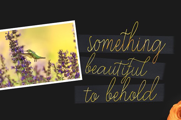 Stayreed Font插图2