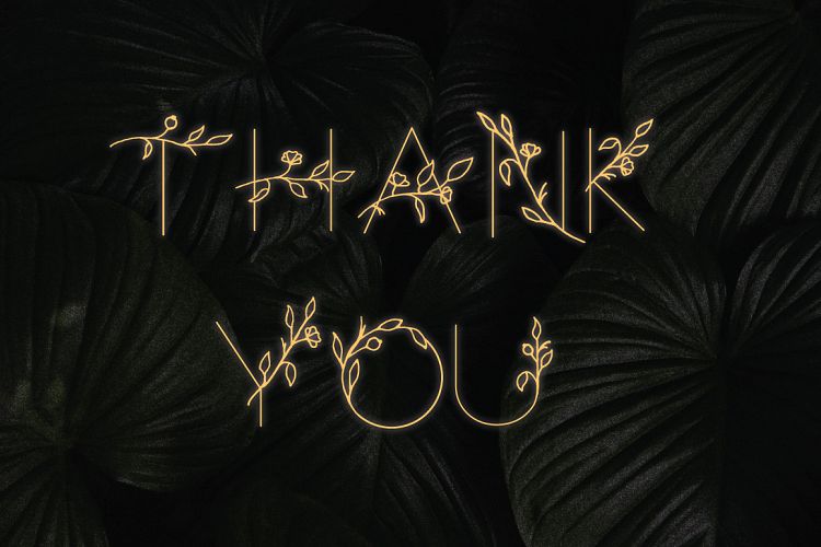 PICANTO – FLORAL FONTRegular Font插图2