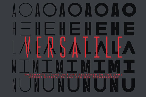 Rocinante Titling插图2