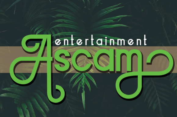 The Sallmode Font插图2