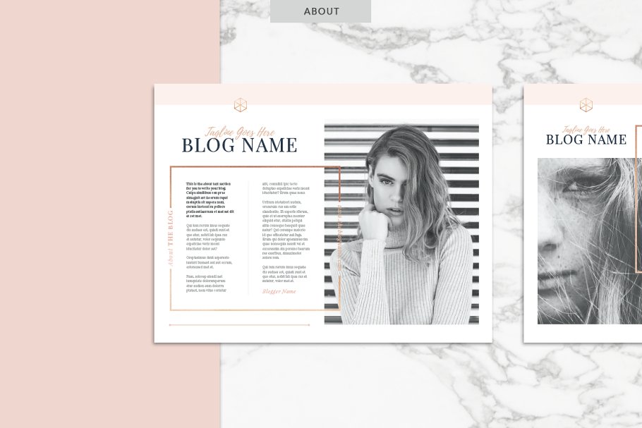 玫瑰金主题的博客媒体工具包 ROSE GOLD | Blog Media Kit插图(2)